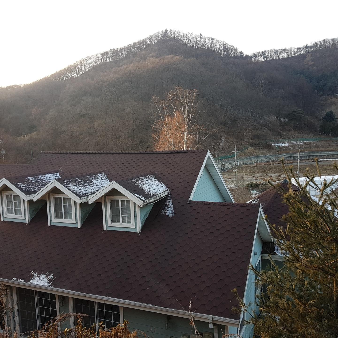 Cover Image for 초리골 로하스로즈펜션