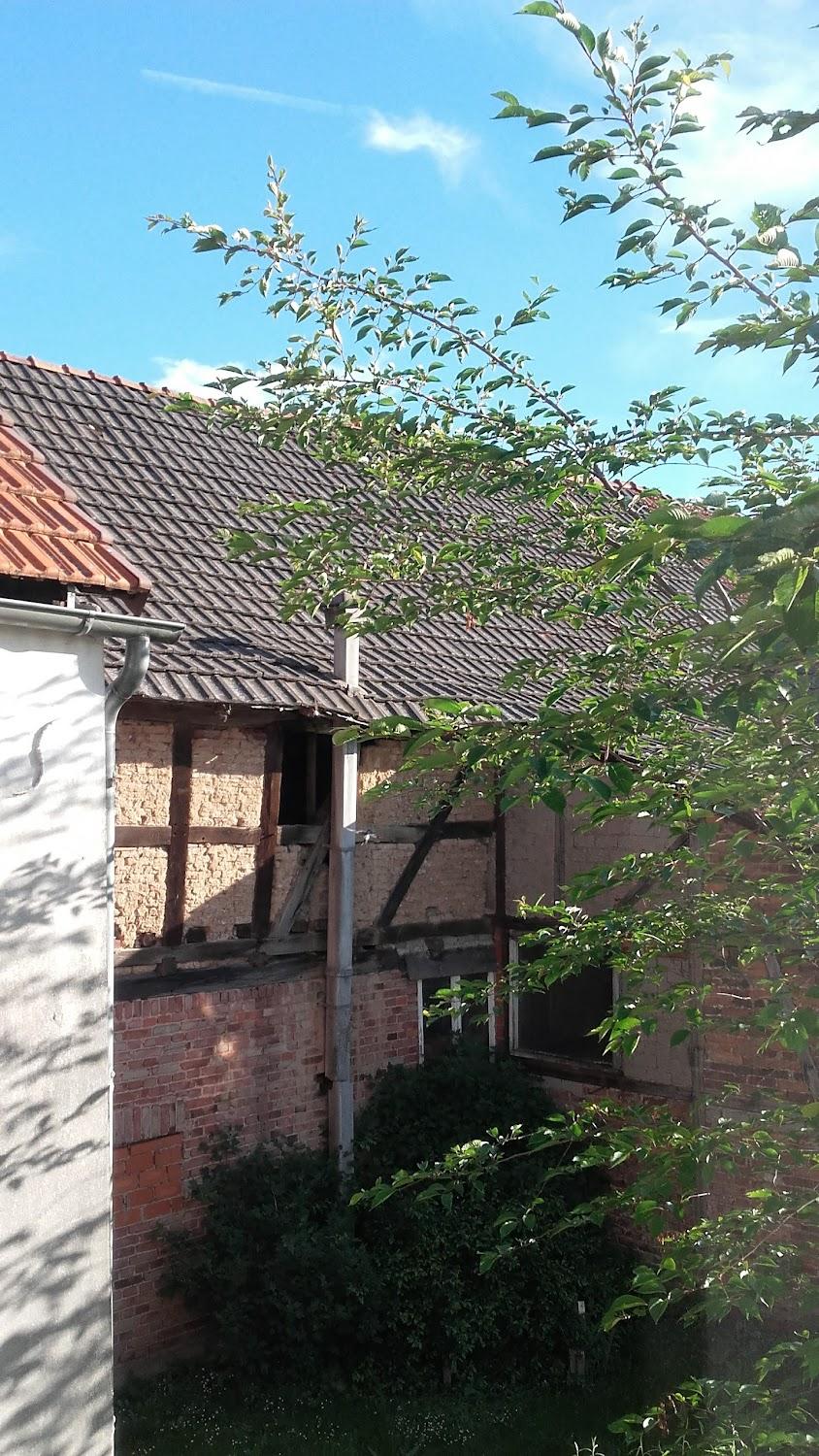 Cover Image for Am Dreienberg