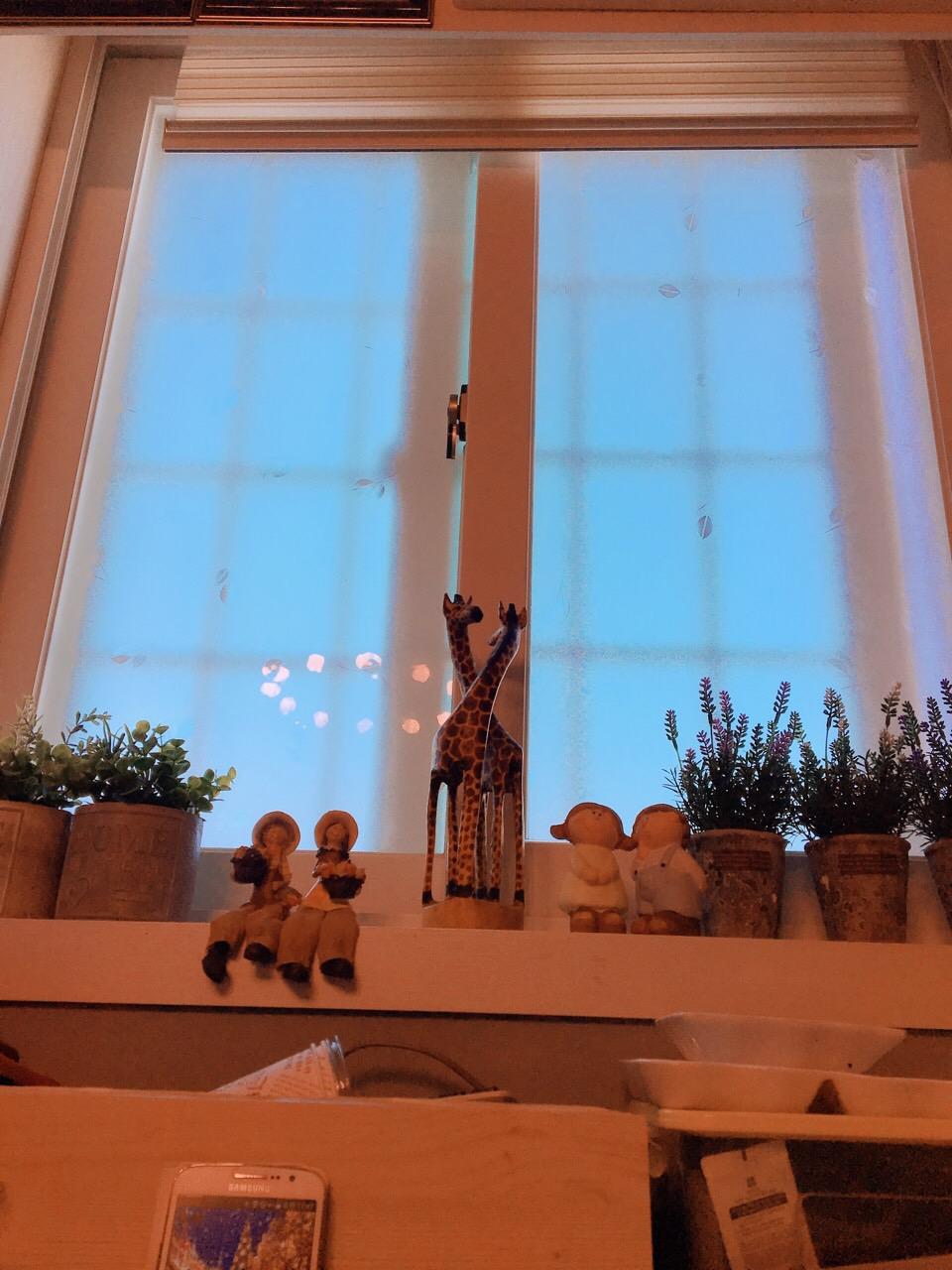 Cover Image for 하고게스트하우스