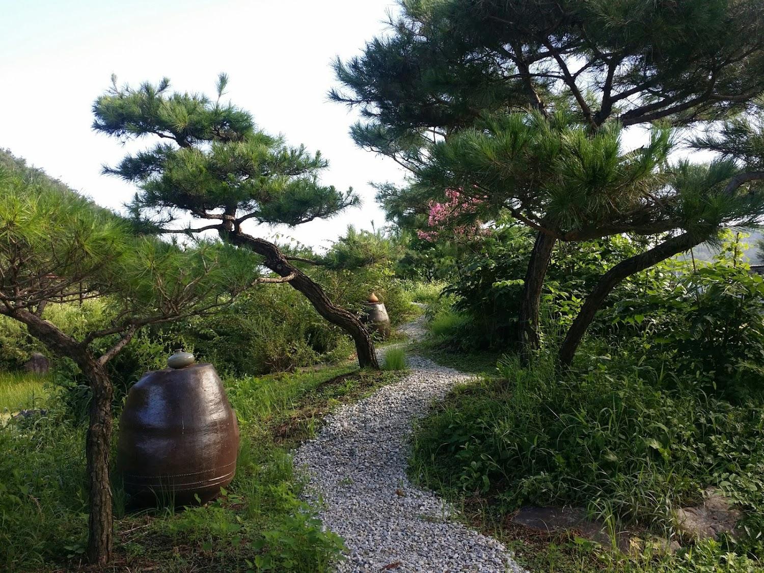 Cover Image for Tohyang Gotaek