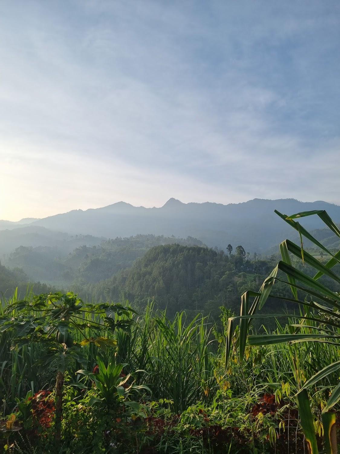 Cover Image for Mountain Ecolodge