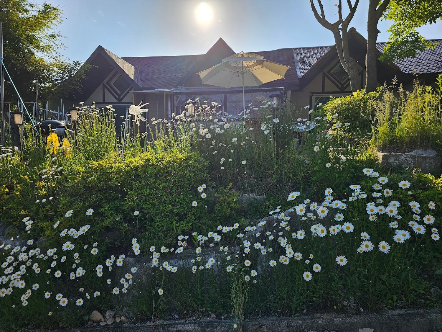 Cover Image for 왈츠빌리지펜션