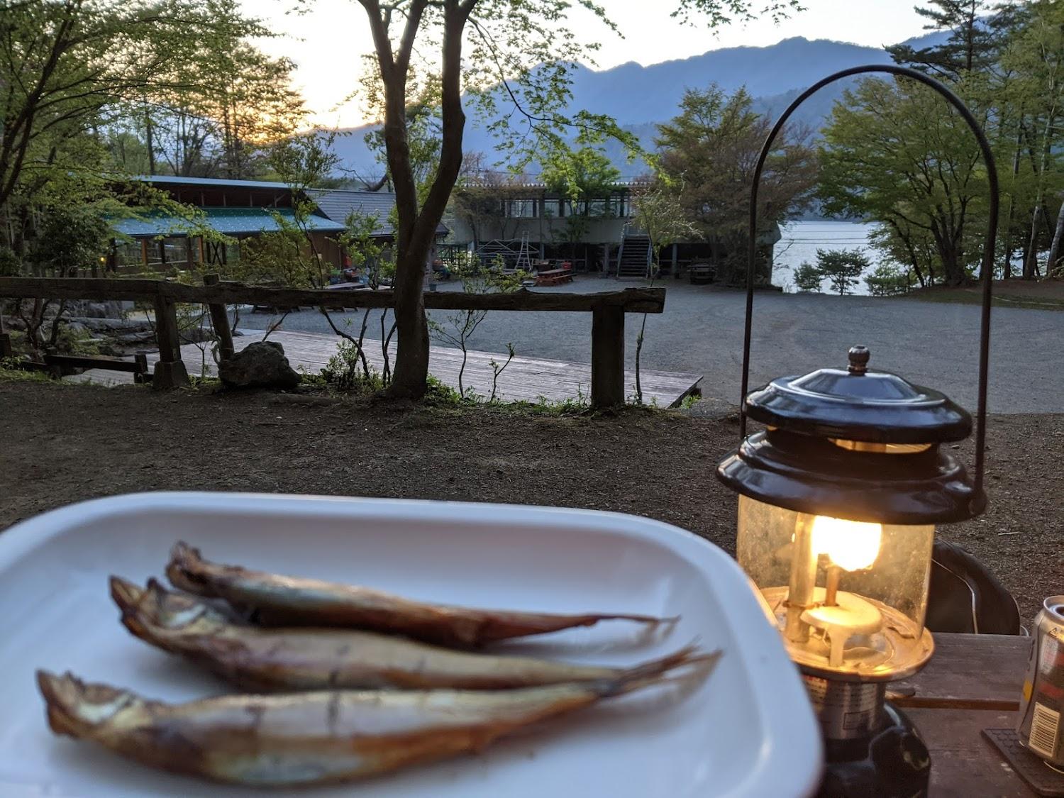 Cover Image for Camp Koyodai