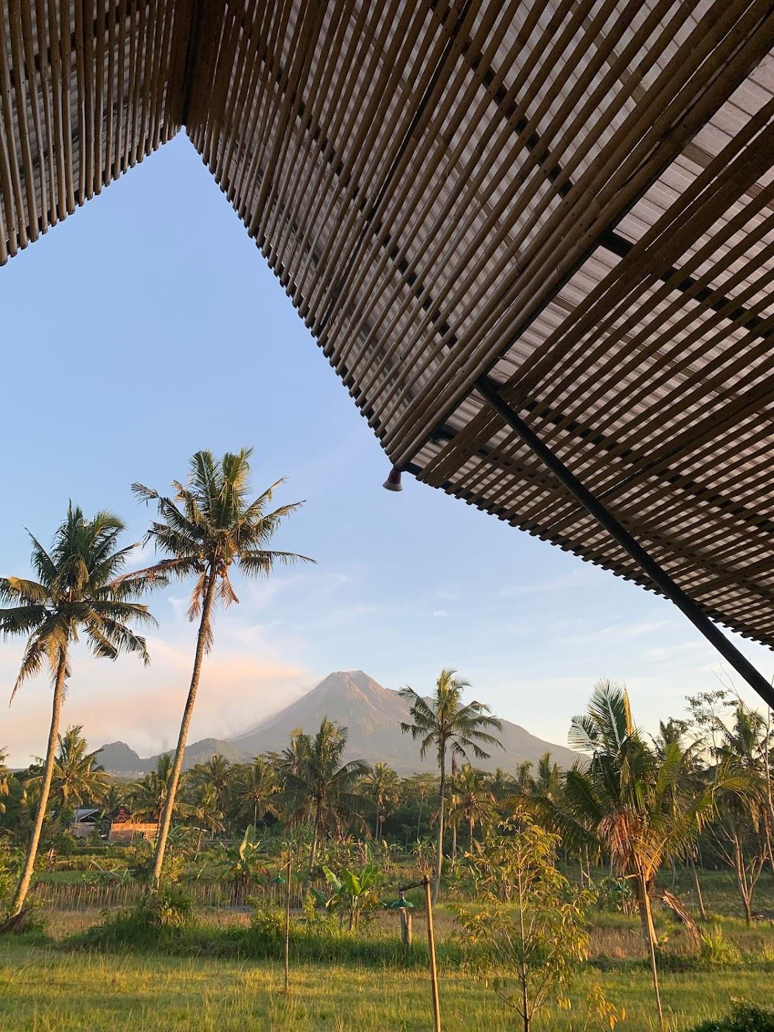 Cover Image for Nyawang Merapi