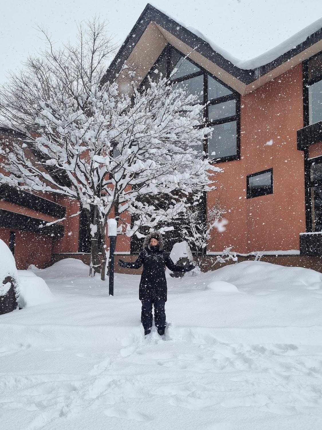 Cover Image for Hakuba Alpine Hotel