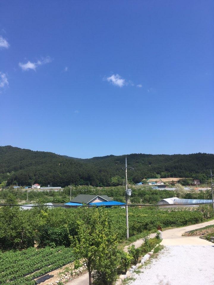 Cover Image for 하늘궁