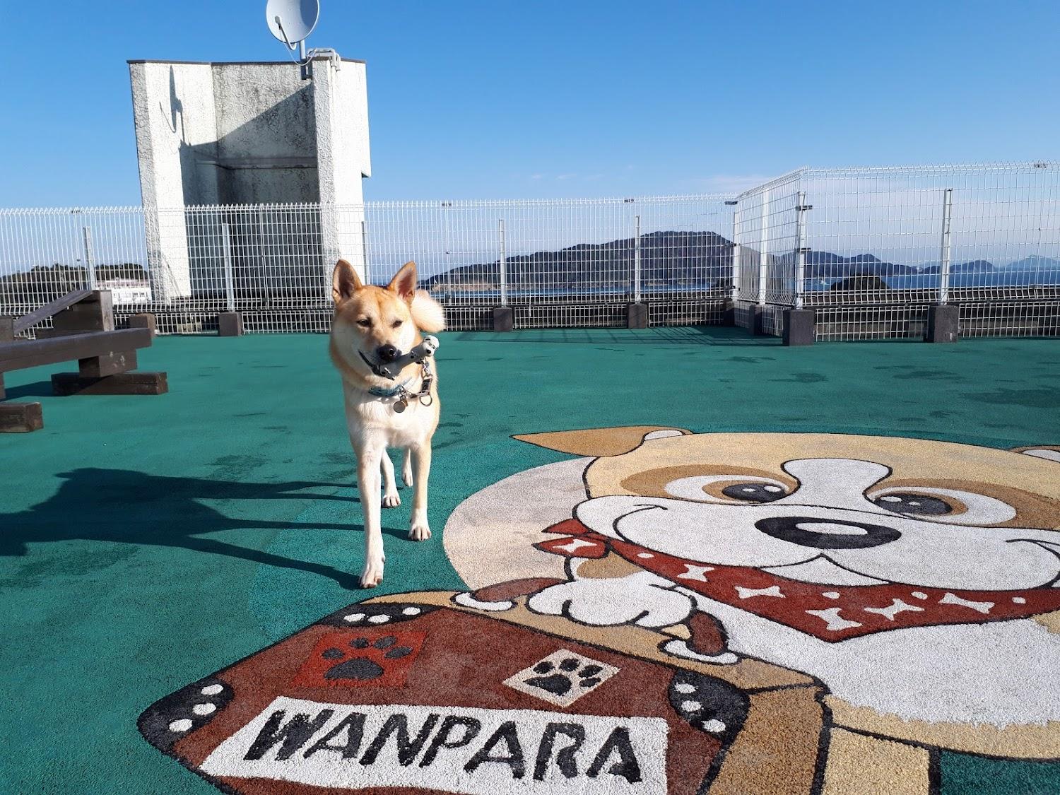 Cover Image for Toba Wanwan Paradise Pet Hotel