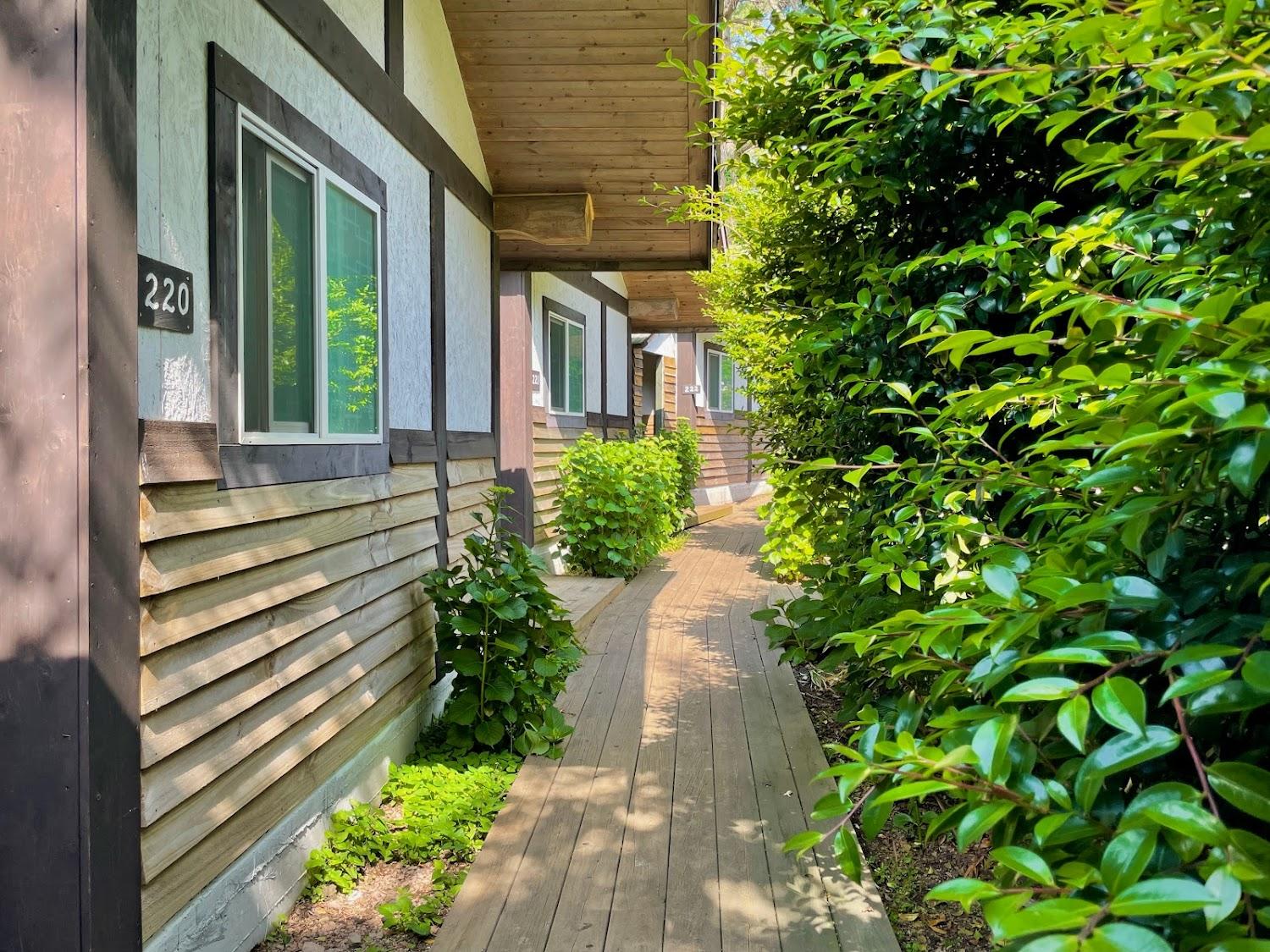 Cover Image for Log Park Hotel