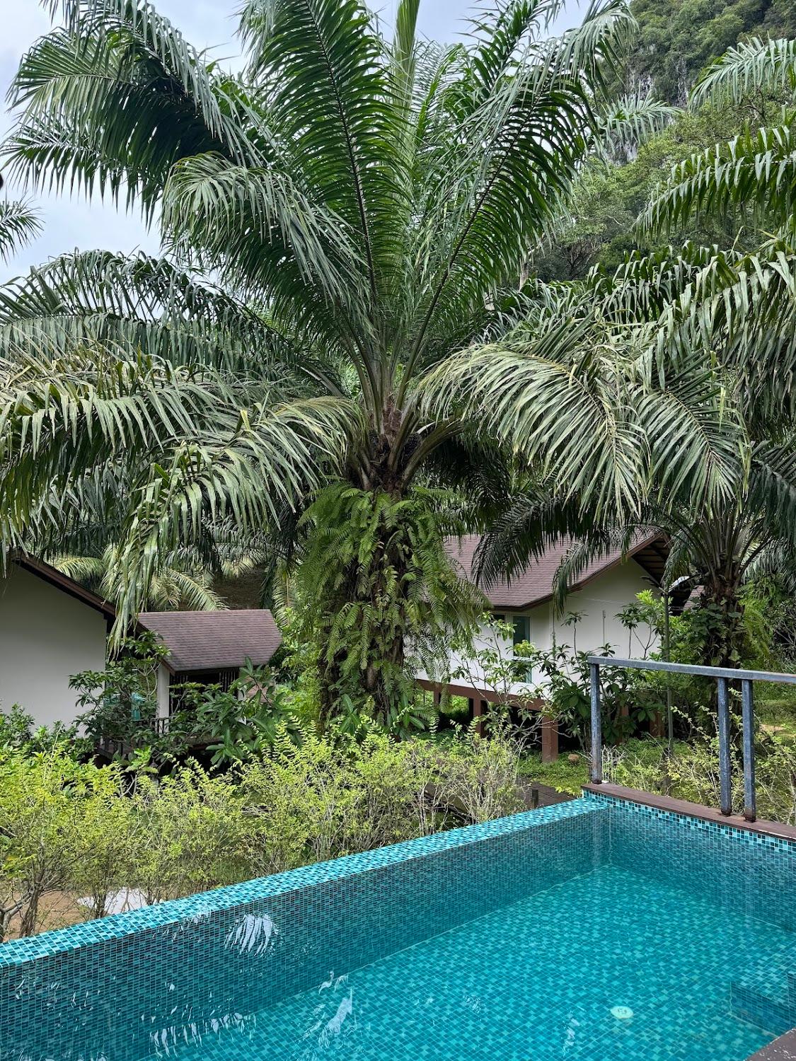 Cover Image for Khaosok Legend Pool Villa