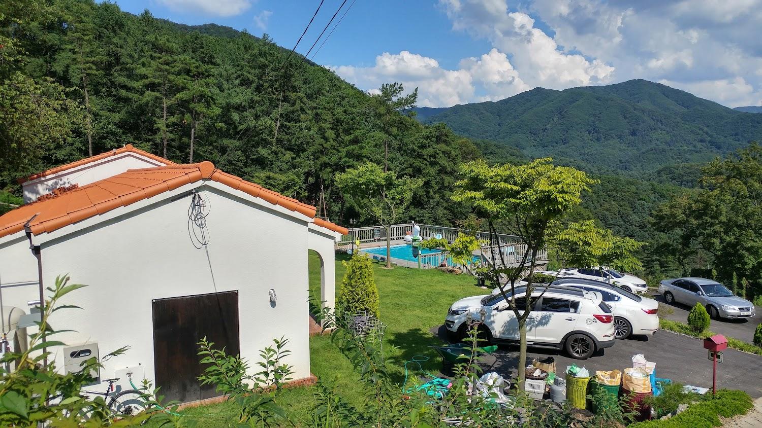 Cover Image for 다브펜션