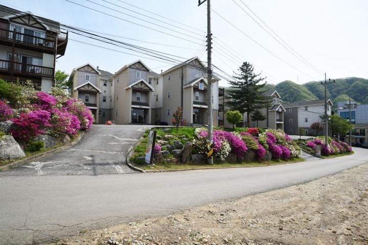 Cover Image for 남이섬강변펜션