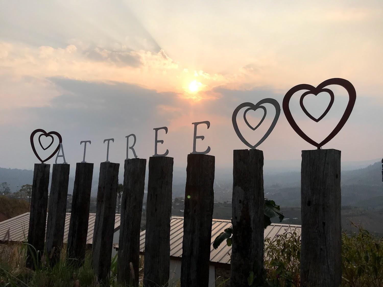 Cover Image for At Tree Resort