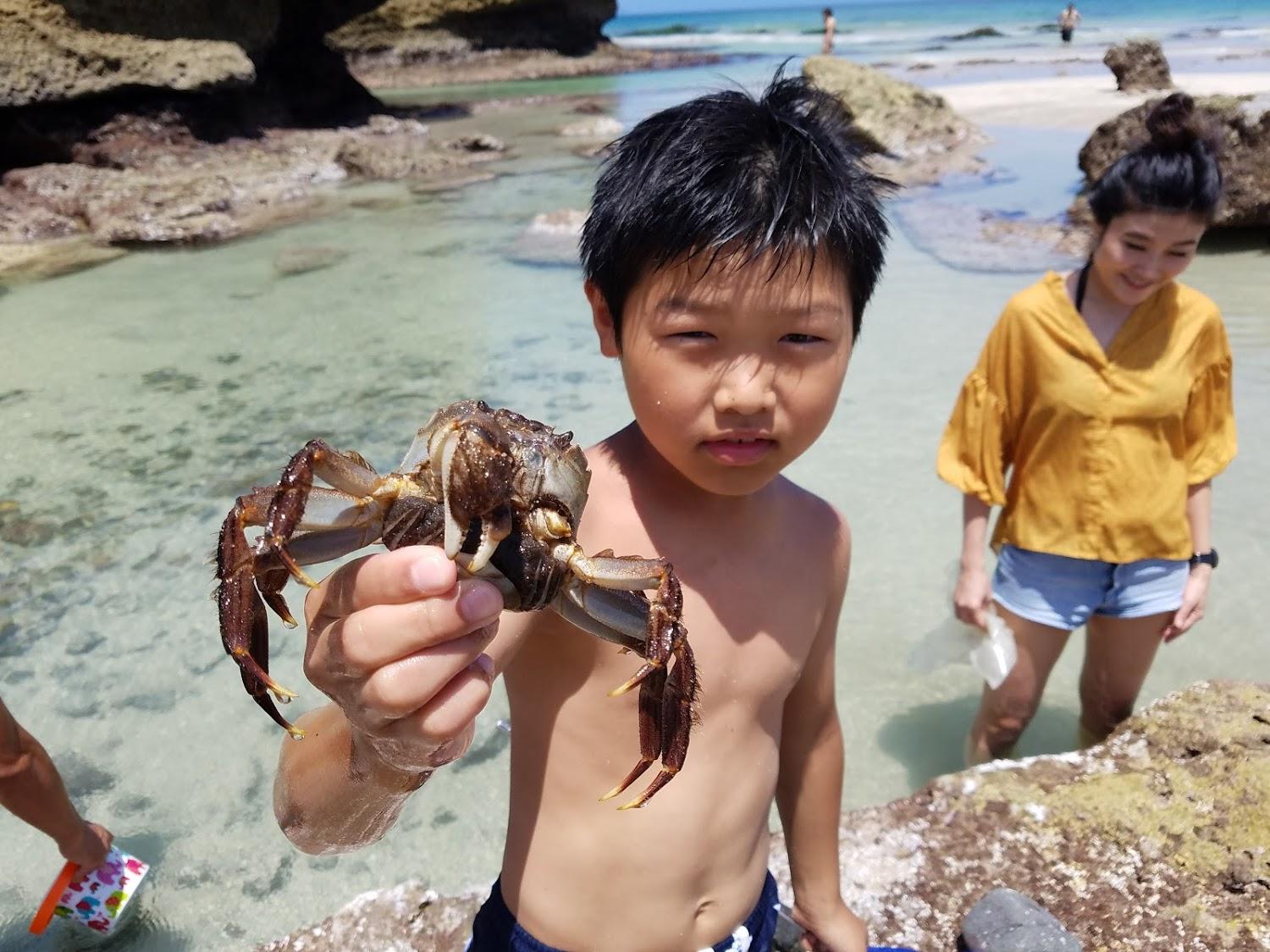 Cover Image for Shirahama