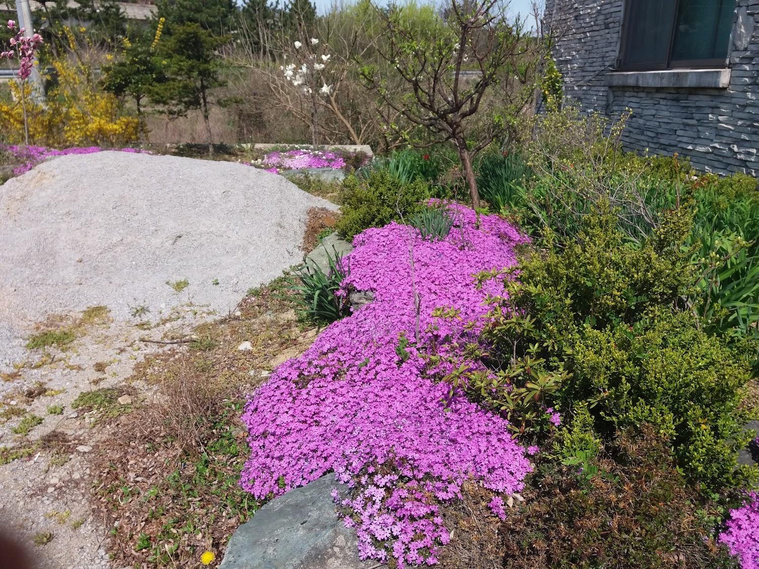 Cover Image for 변산기행펜션