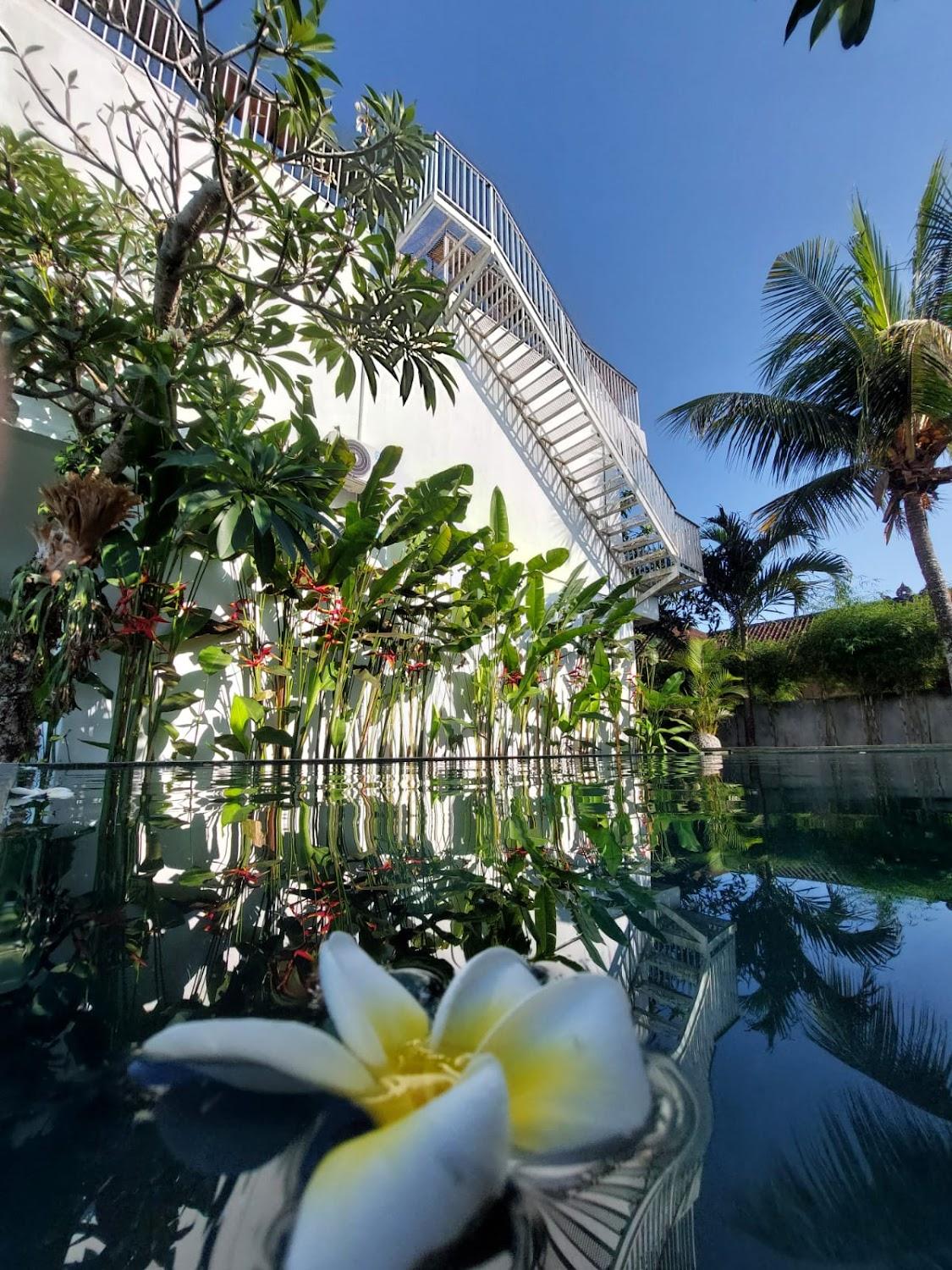 Cover Image for Beluran Panorama Lodge and Activities