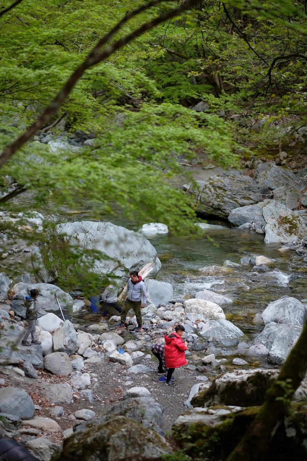 Cover Image for Irikawa Valley Twilight Camping Ground