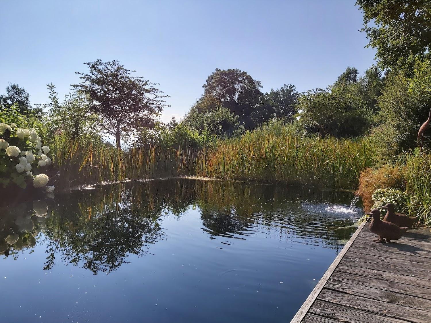 Cover Image for Sterr - Hotel & Chalets