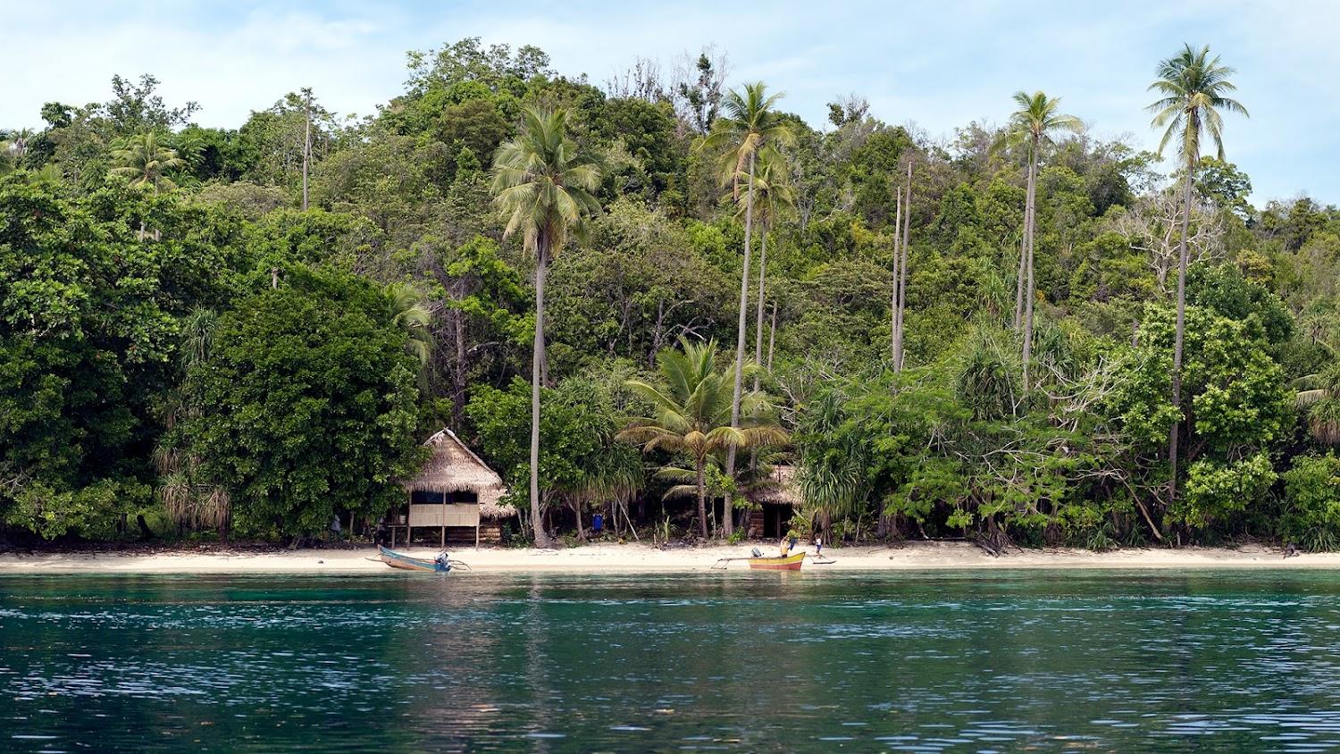 Cover Image for Nemo Homestay