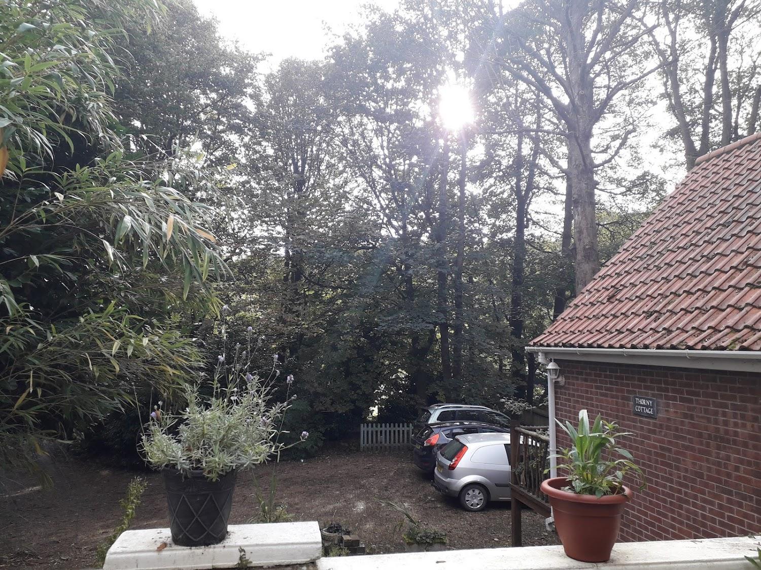 Cover Image for Thornybank