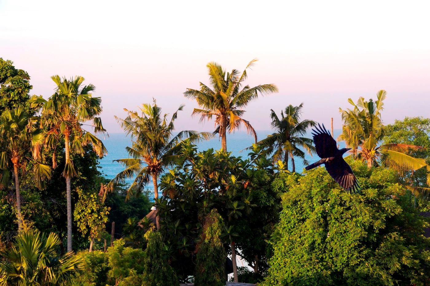 Cover Image for Villa Wiljoba