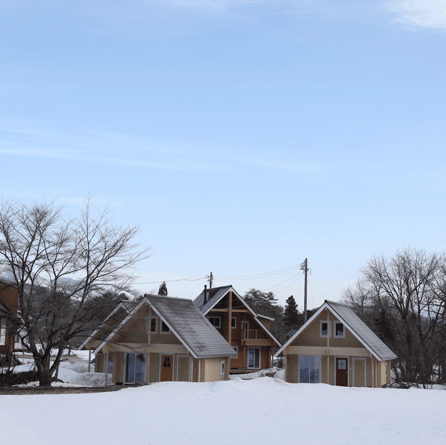Cover Image for Log Cottage 白馬KIITOS