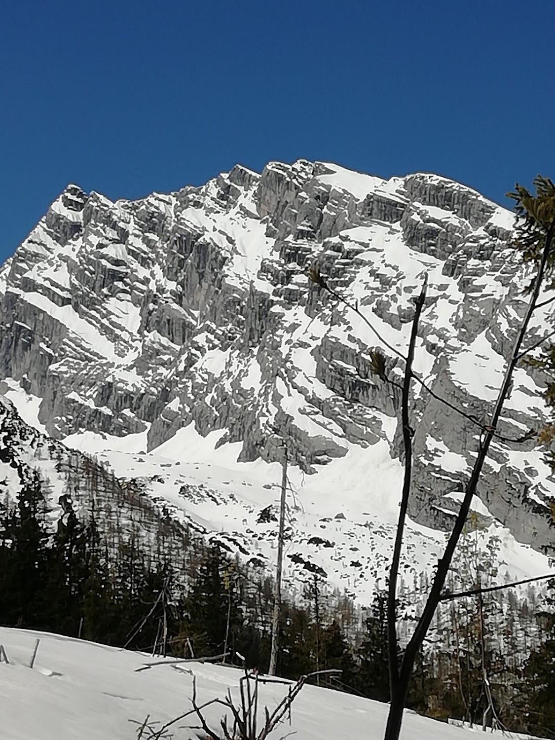 Cover Image for Pension Möslerlehen