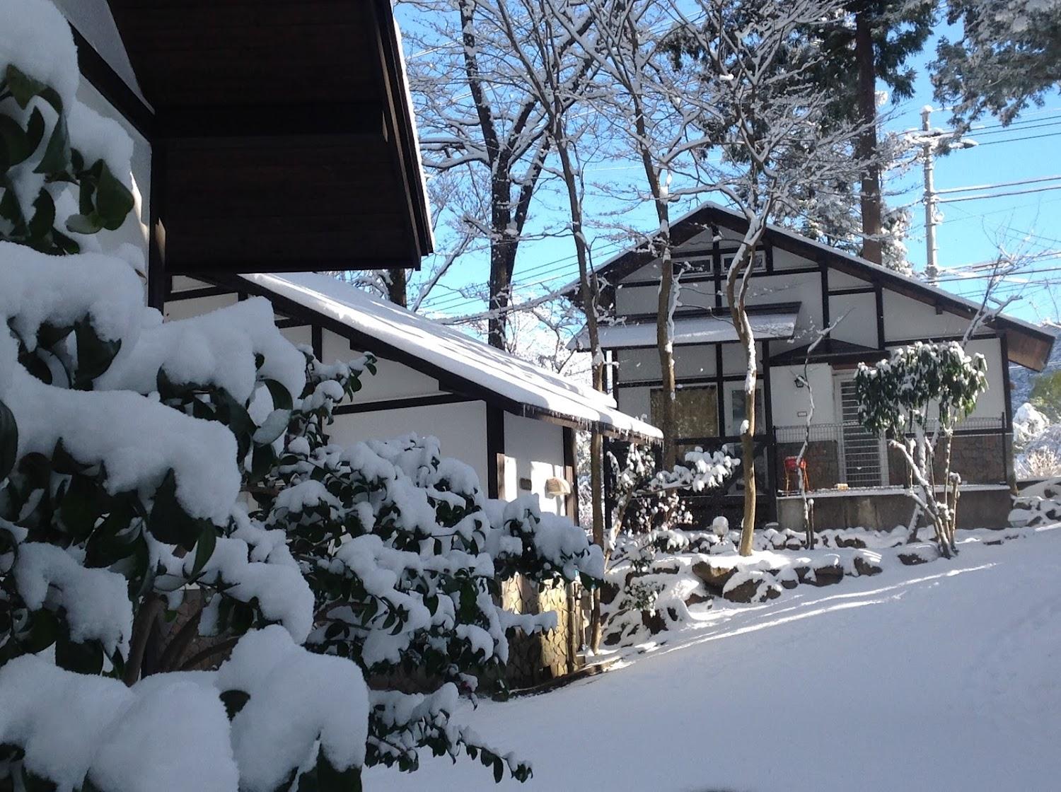 Cover Image for ホテル森の家