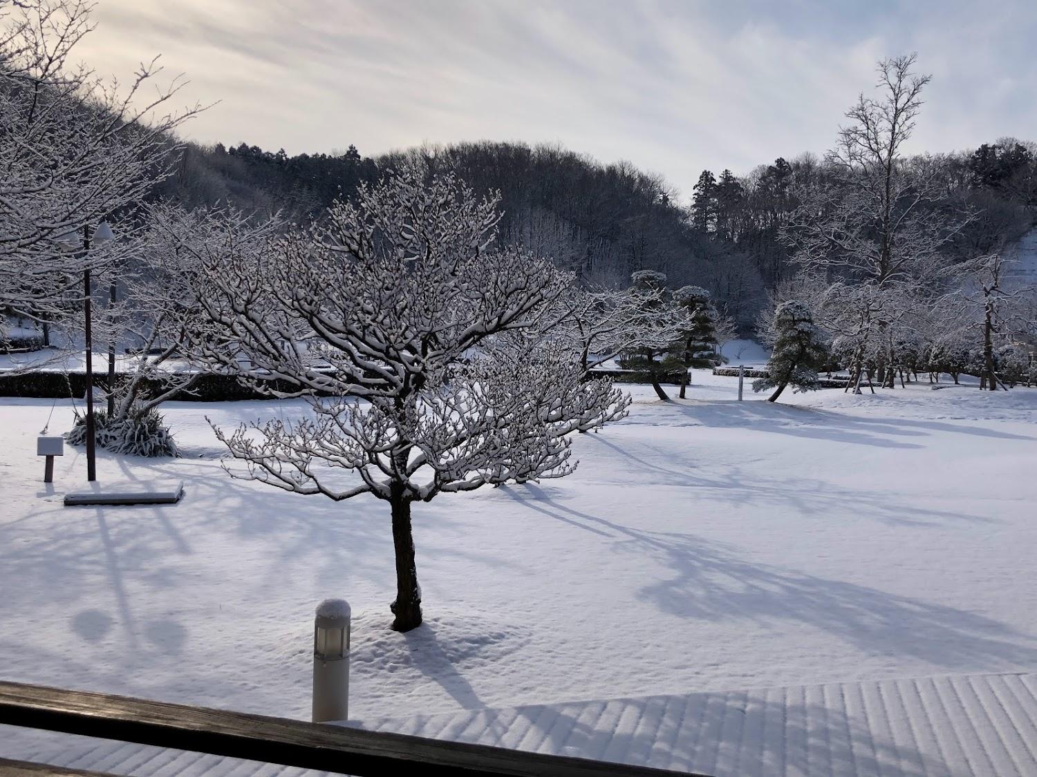 Cover Image for 公園の中の宿 ロマン館