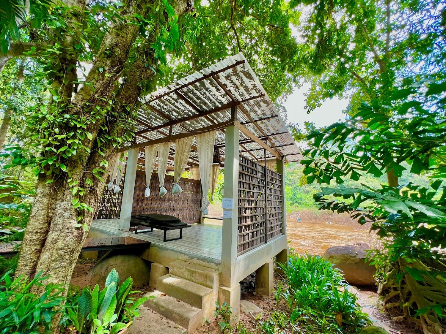 Cover Image for Rain Forest Resort