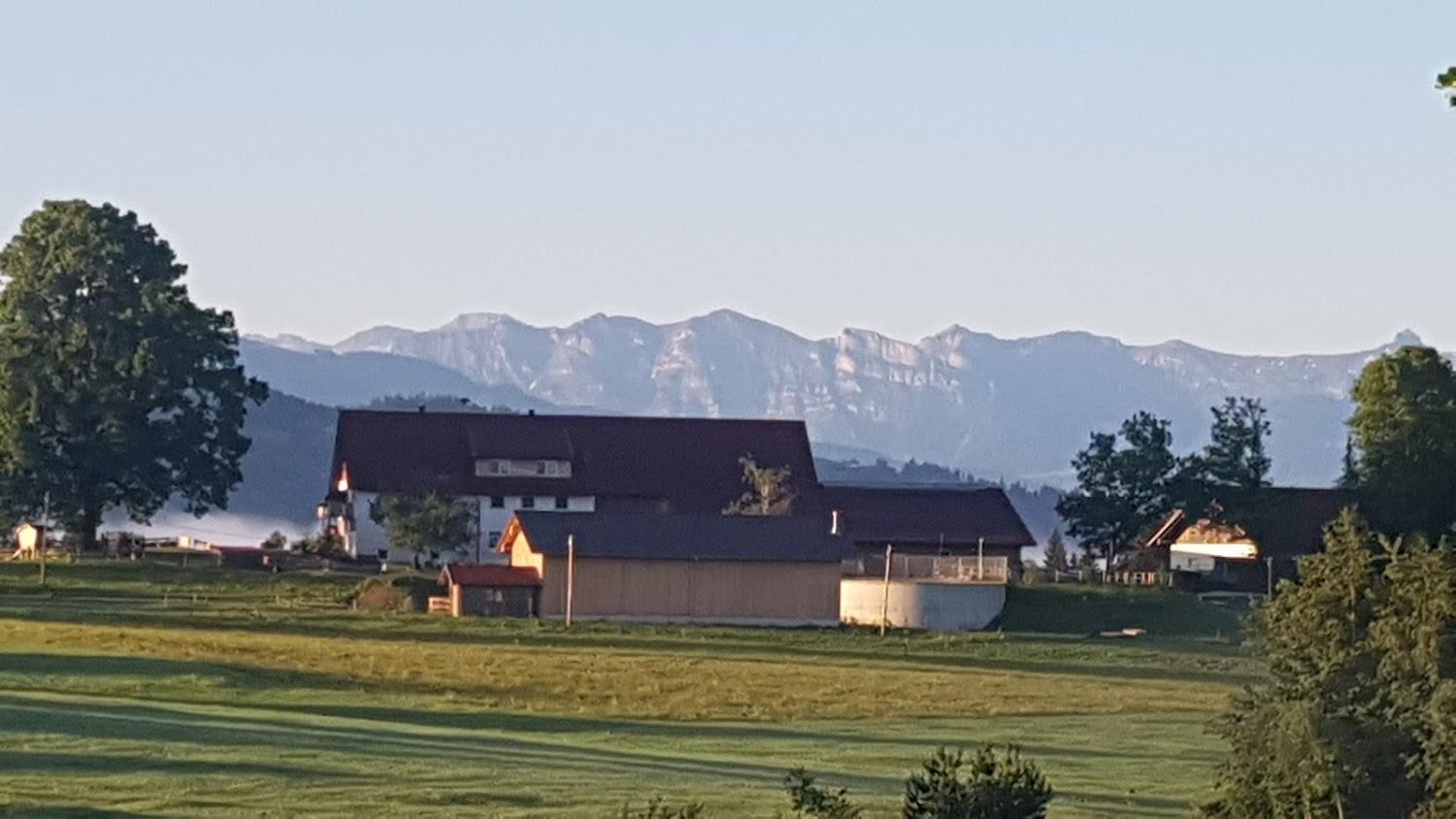 Cover Image for Landhotel Ellerhof