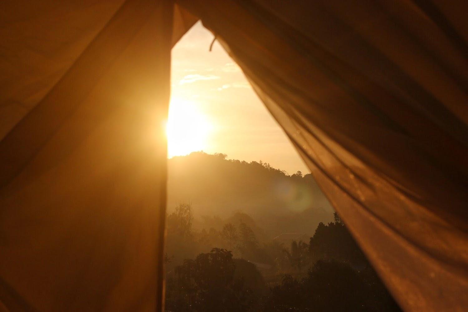 Cover Image for The Camp Phulomlo-ที่พักภูลมโล ซากุระเมืองไทย