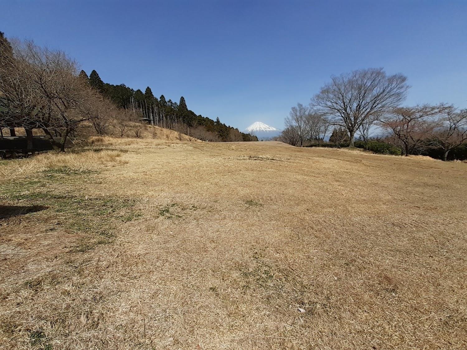 Cover Image for Fujikawa Camping Ground