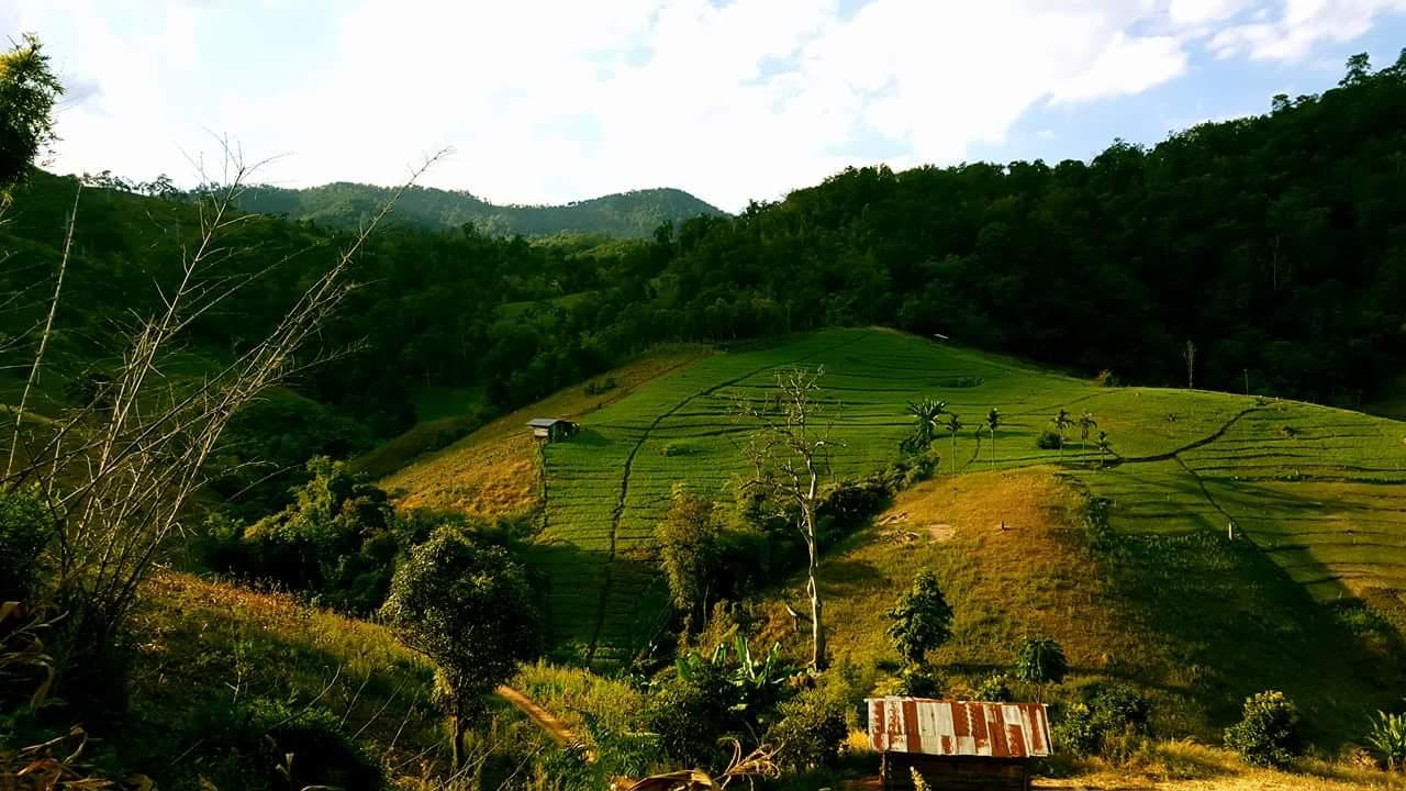 Cover Image for Pai Mountain Lodge ยกมณีดอยรีสอร์ท