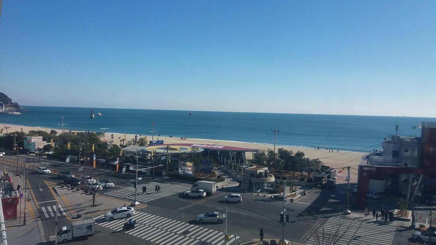 Cover Image for 문동이네