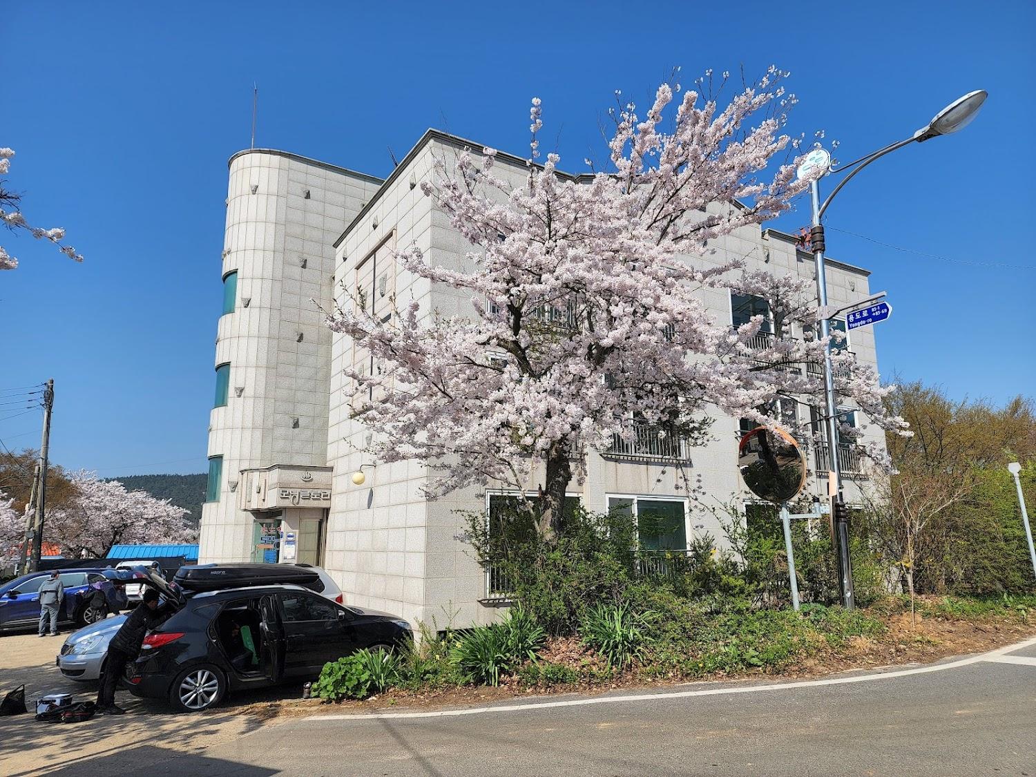 Cover Image for 모닝하우스