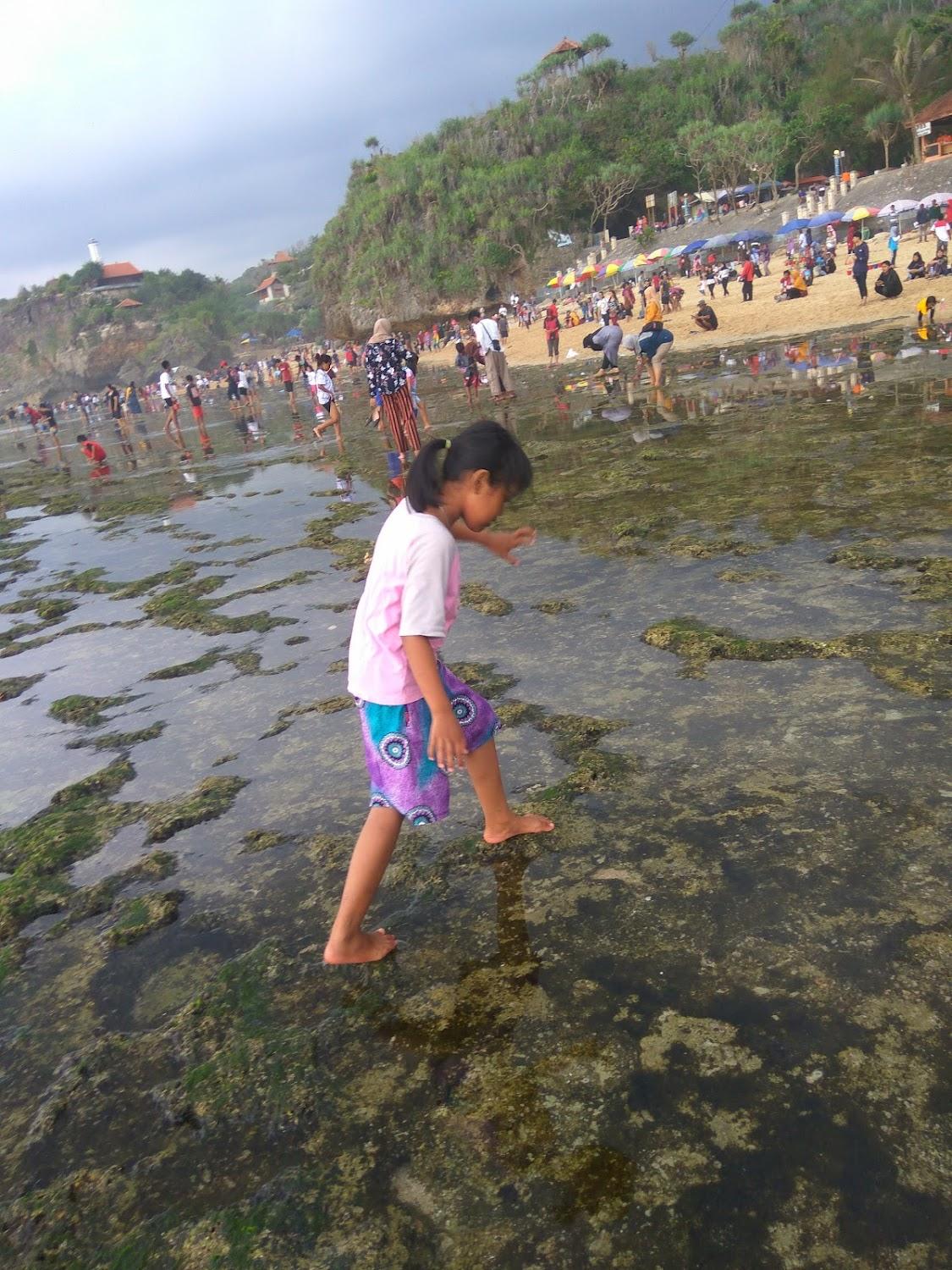 Cover Image for Penginapan Joko Samudro