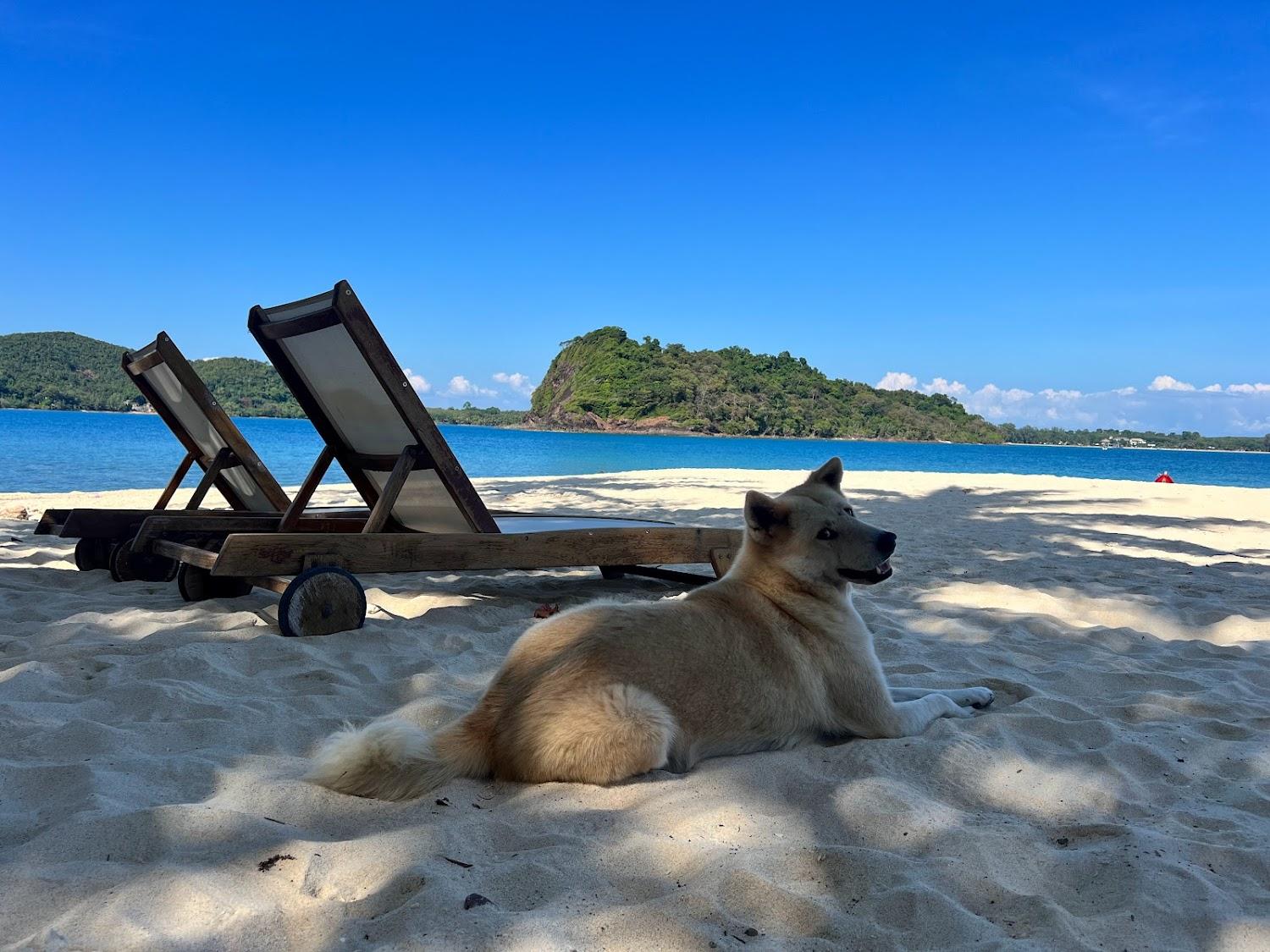Cover Image for Rayang Nature Private Island