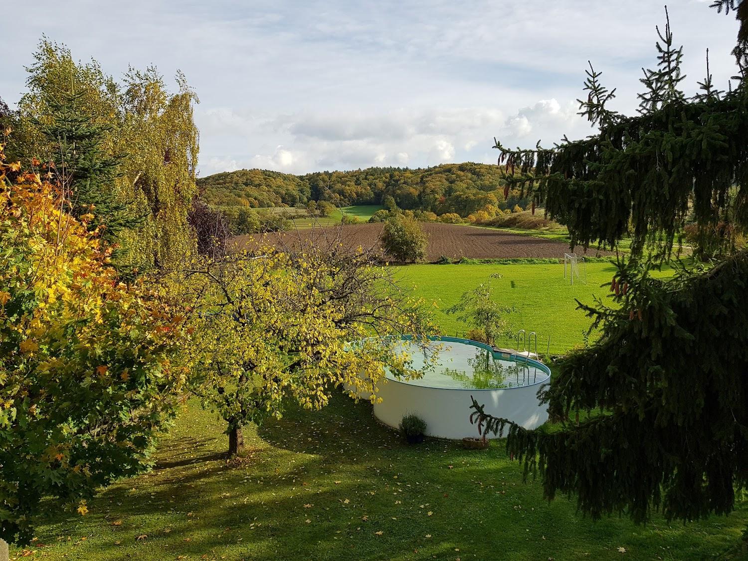 Cover Image for Gasthof-Pension Zum Böhlgrund