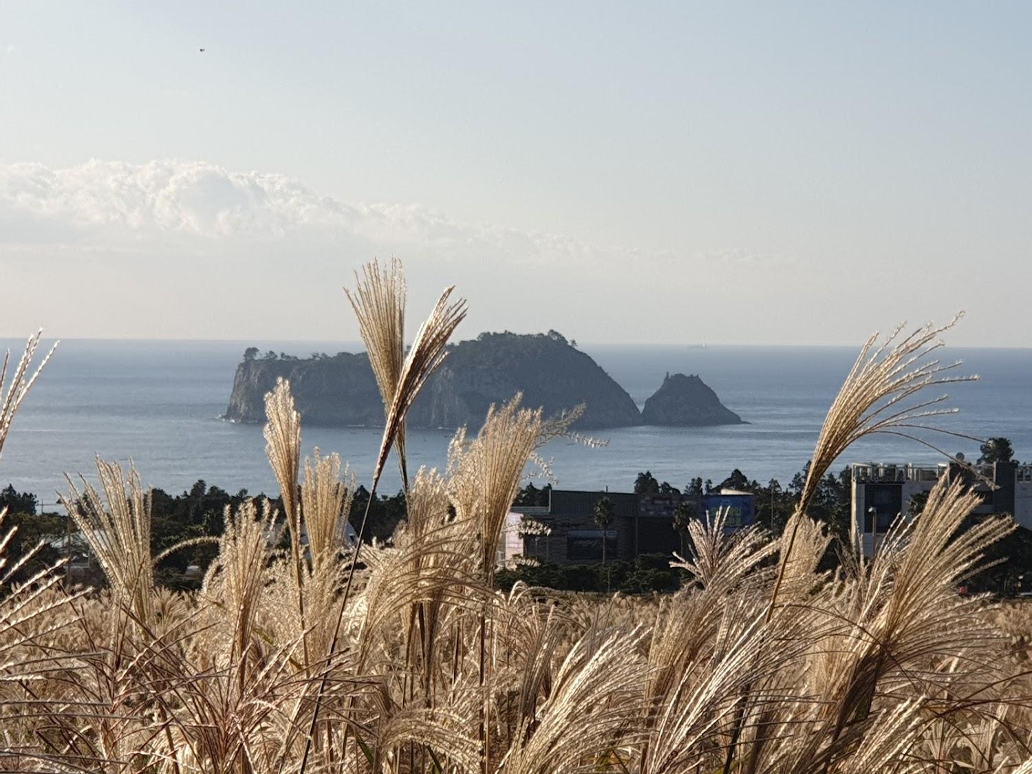 Cover Image for Shin Shin Hotel Jeju World Cup