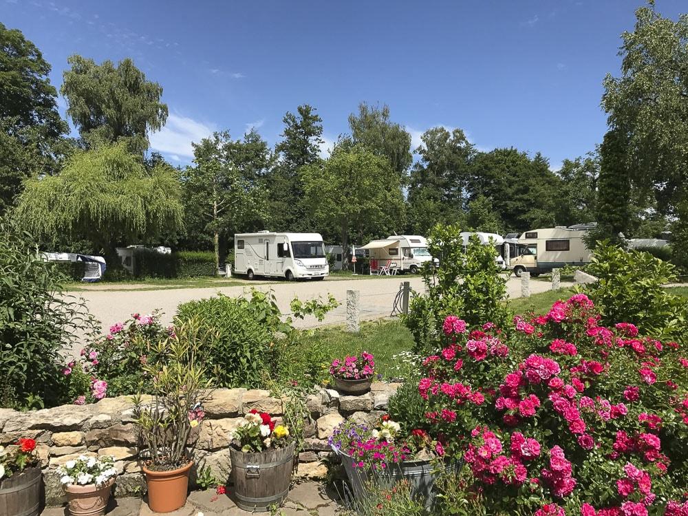 Cover Image for Busses Camping am Möslepark in Freiburg