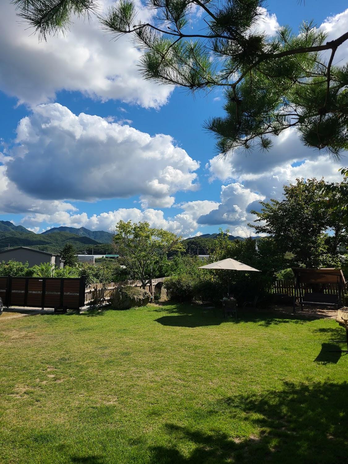 Cover Image for 부엉이애견펜션