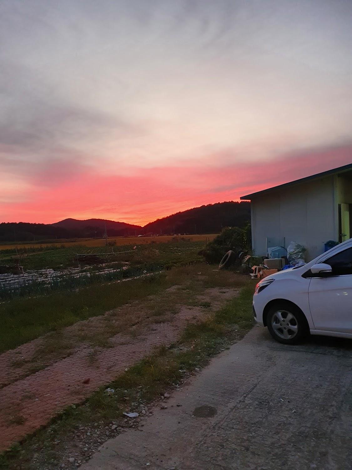Cover Image for 이노센스