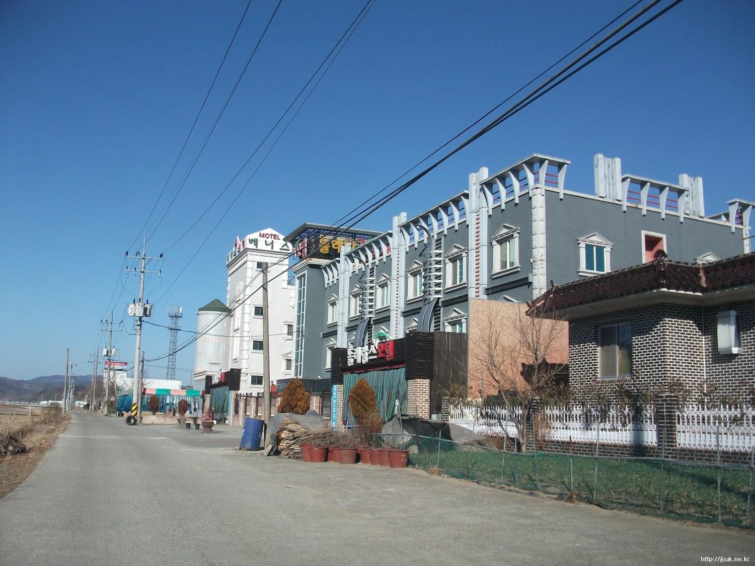 Cover Image for Tolerance Motel