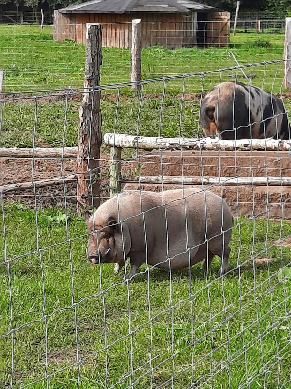 Cover Image for Gästehaus im Tierpark