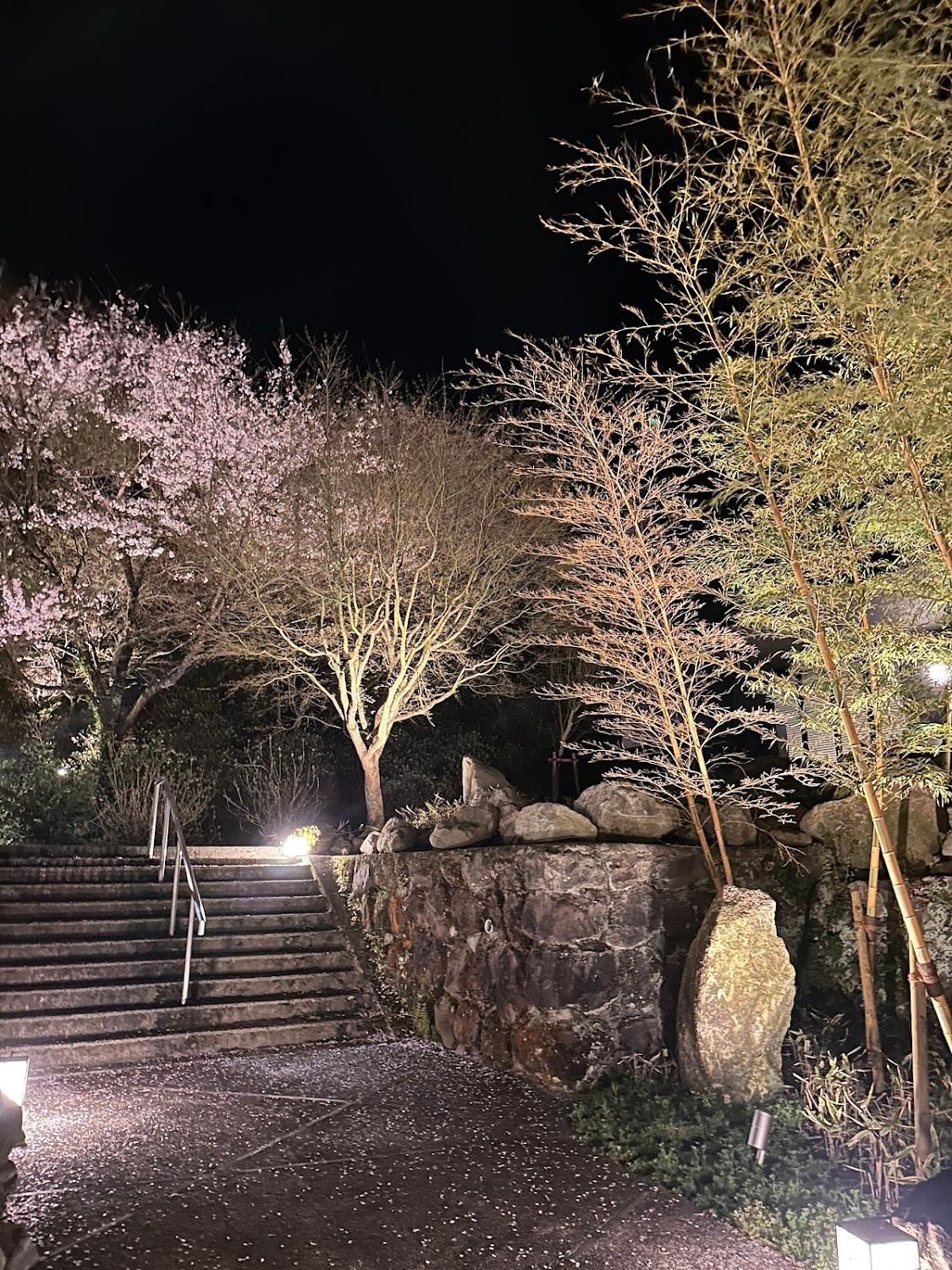 Cover Image for 月洸樹 由布院