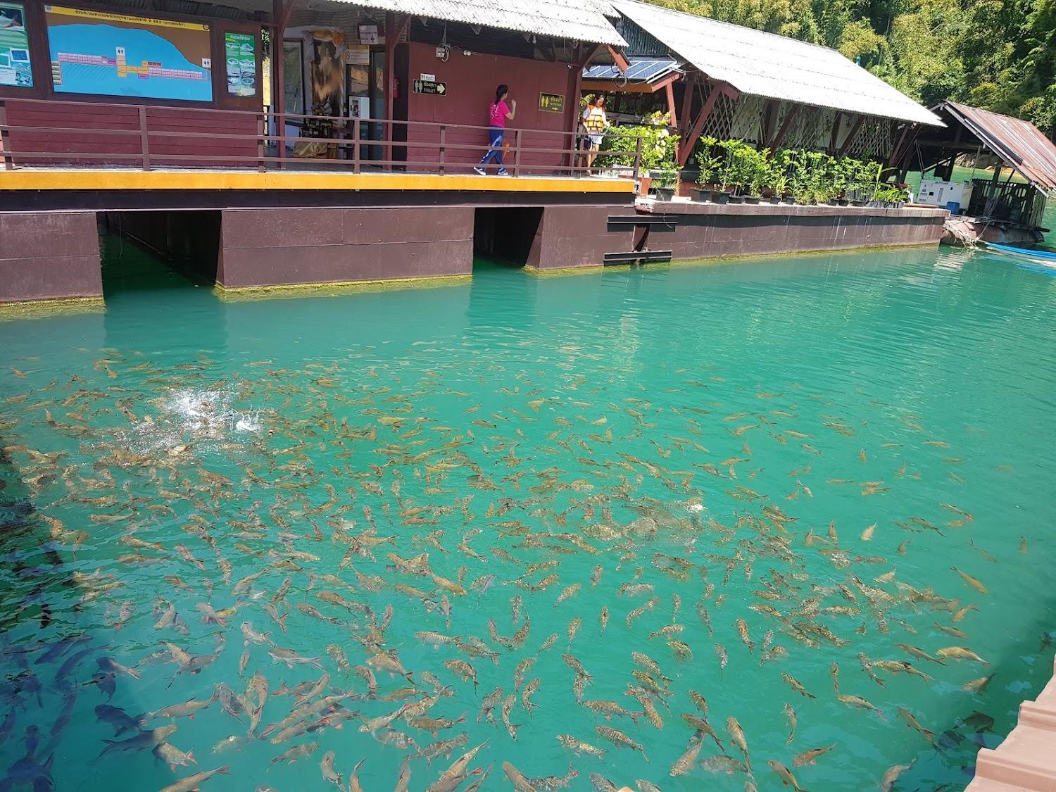 Cover Image for Nang Prai Raft House