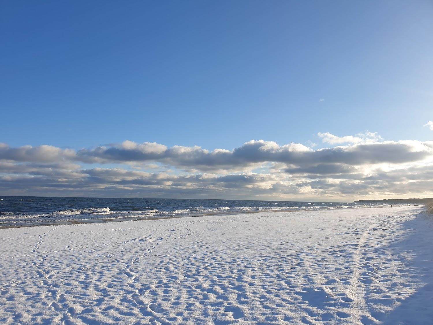 Cover Image for Ferienwohnungen Stranddistel