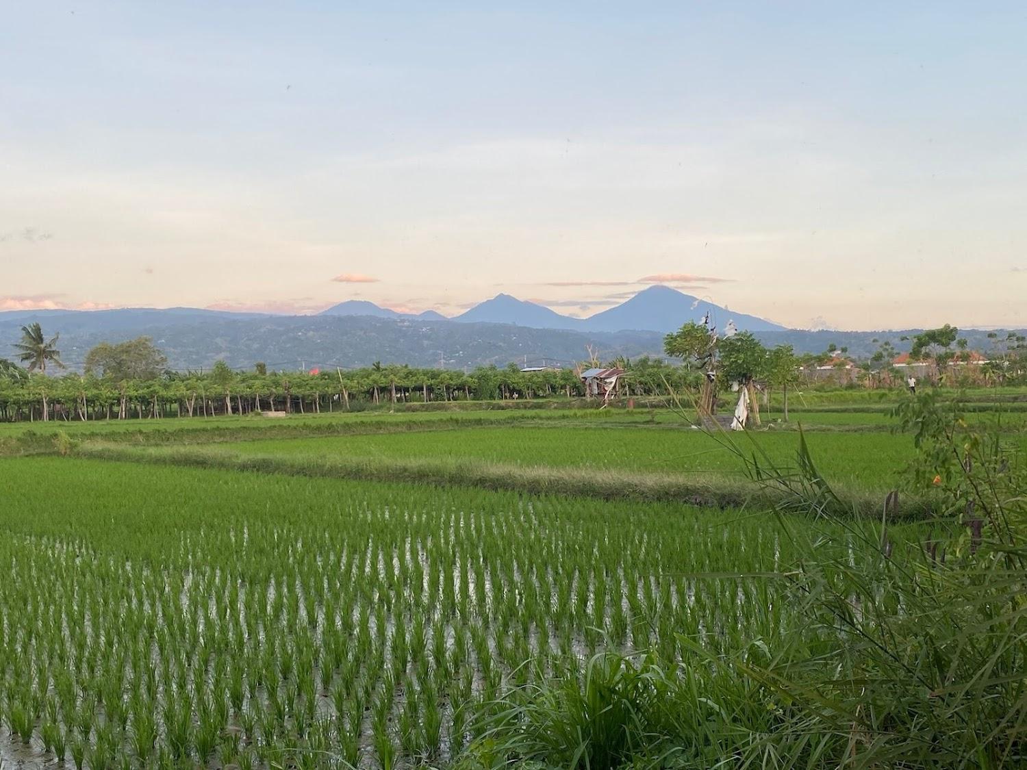 Cover Image for Villa Pelangi Bali