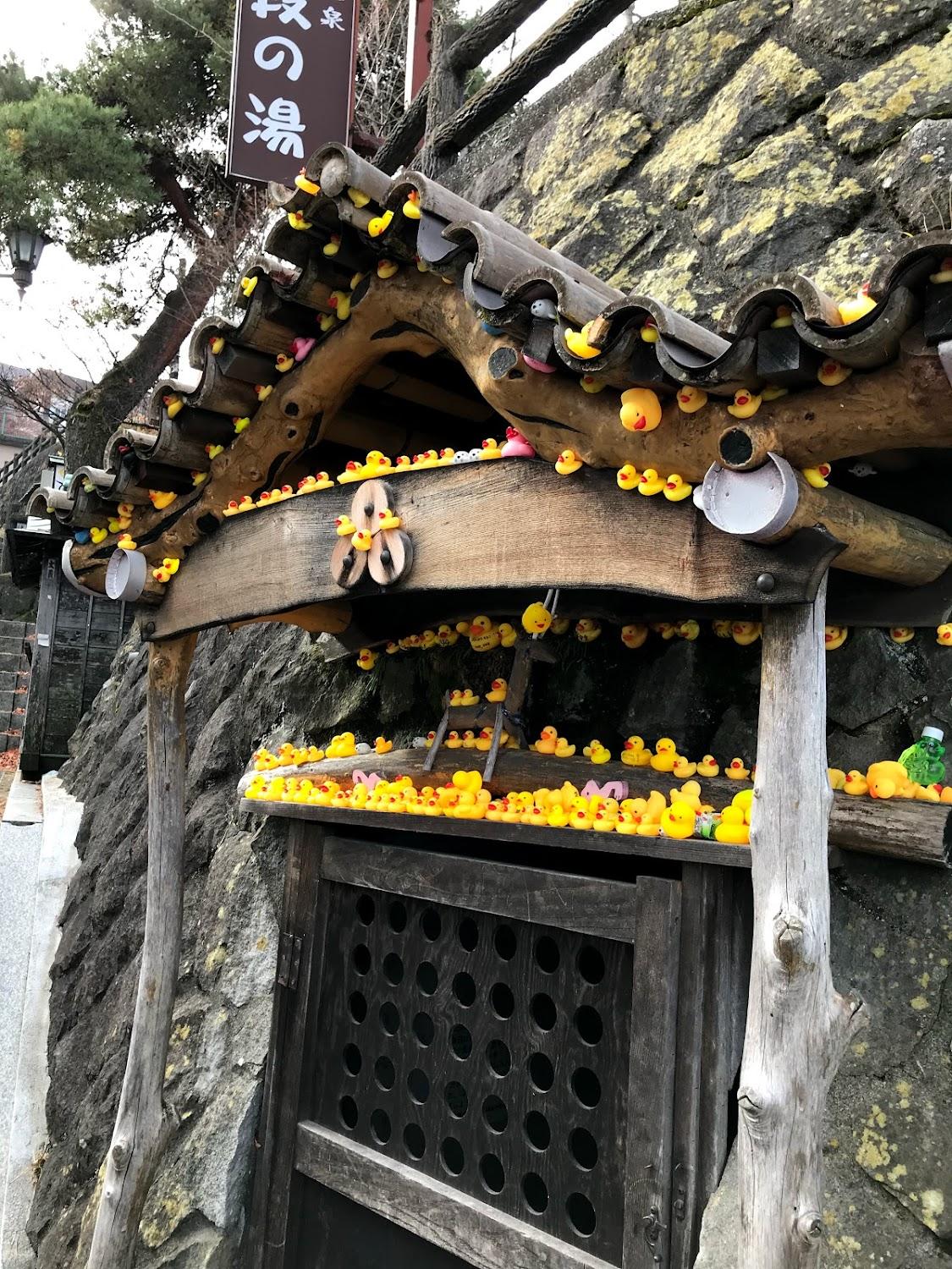 Cover Image for Marumotokan