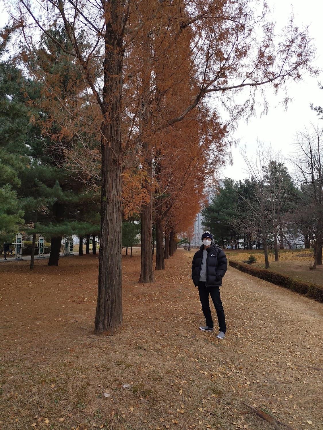 Cover Image for 에스안모텔